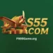 S55