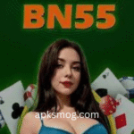 BN55 game